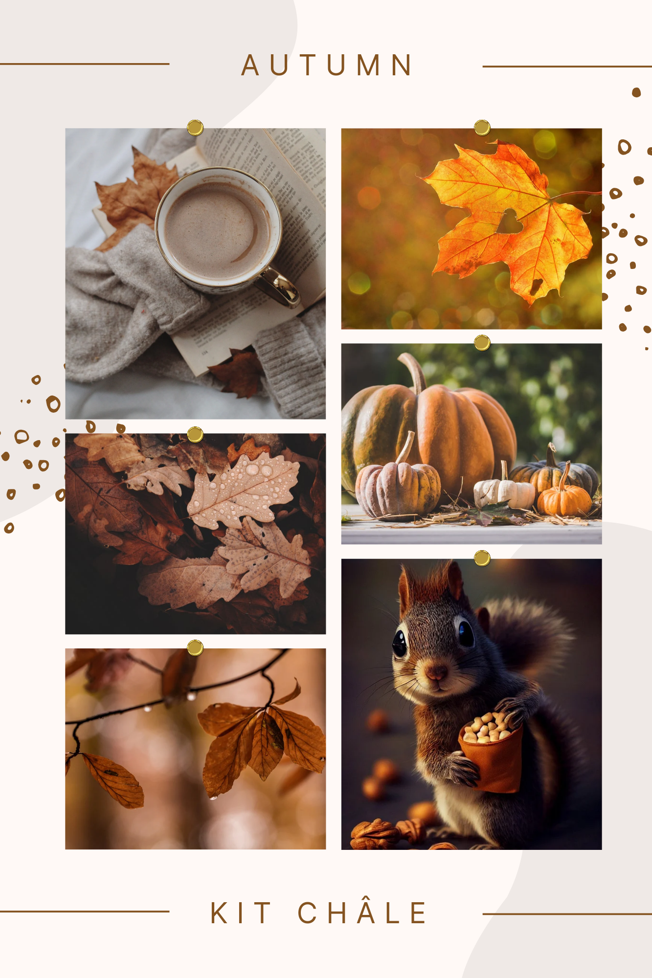 Combo Châle Autumn