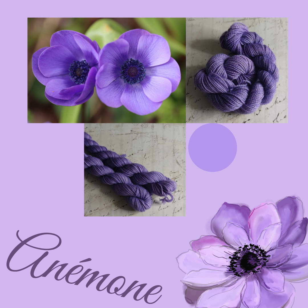 Colors - Anémone