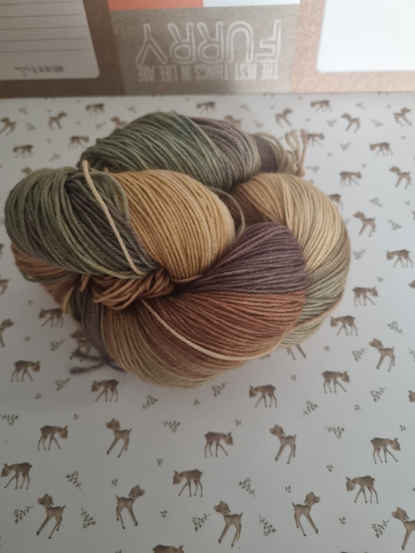 Coloris Mr Fox - Collection autumn