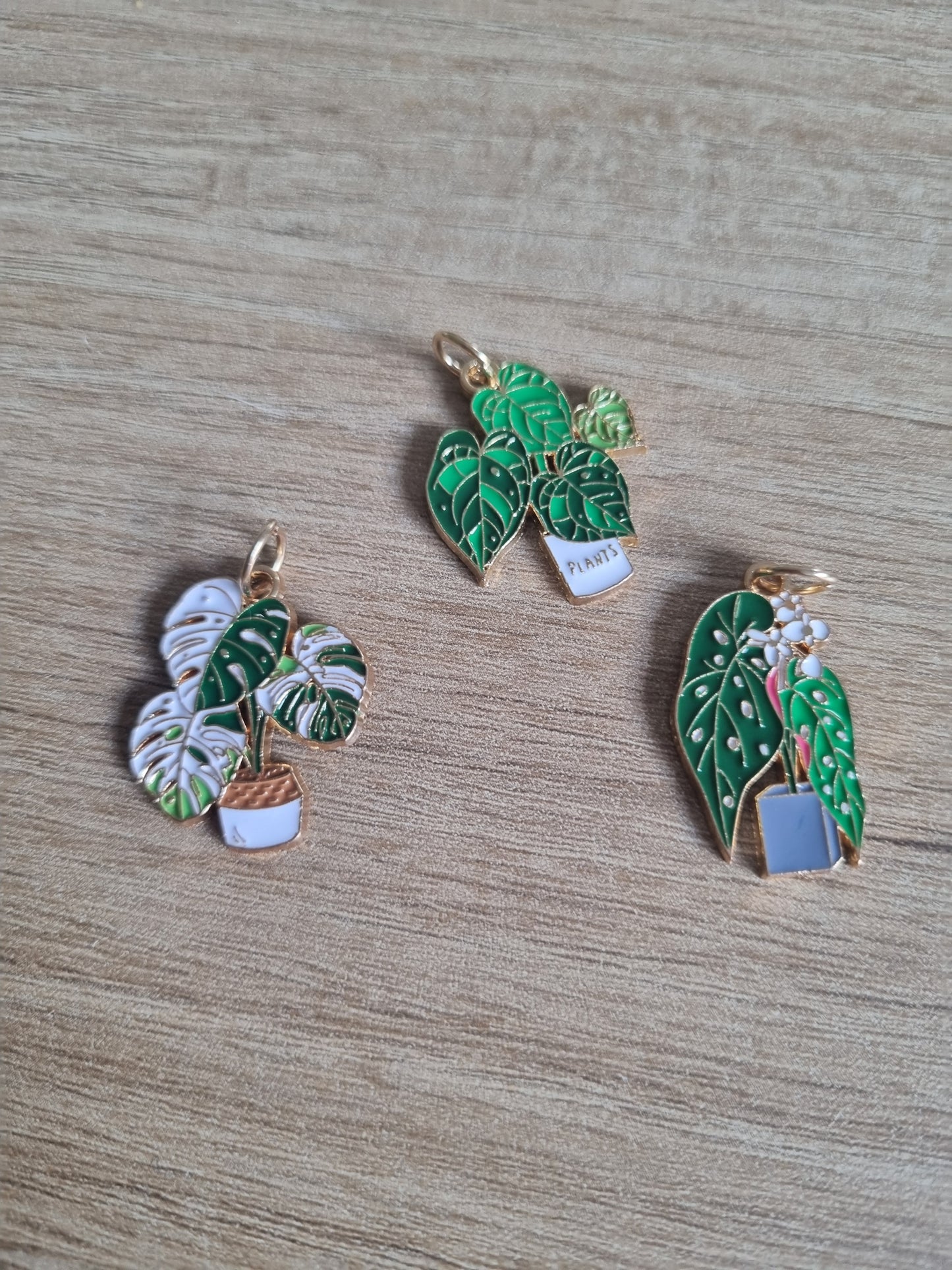 LOT Anneaux marqueurs *Plantes*