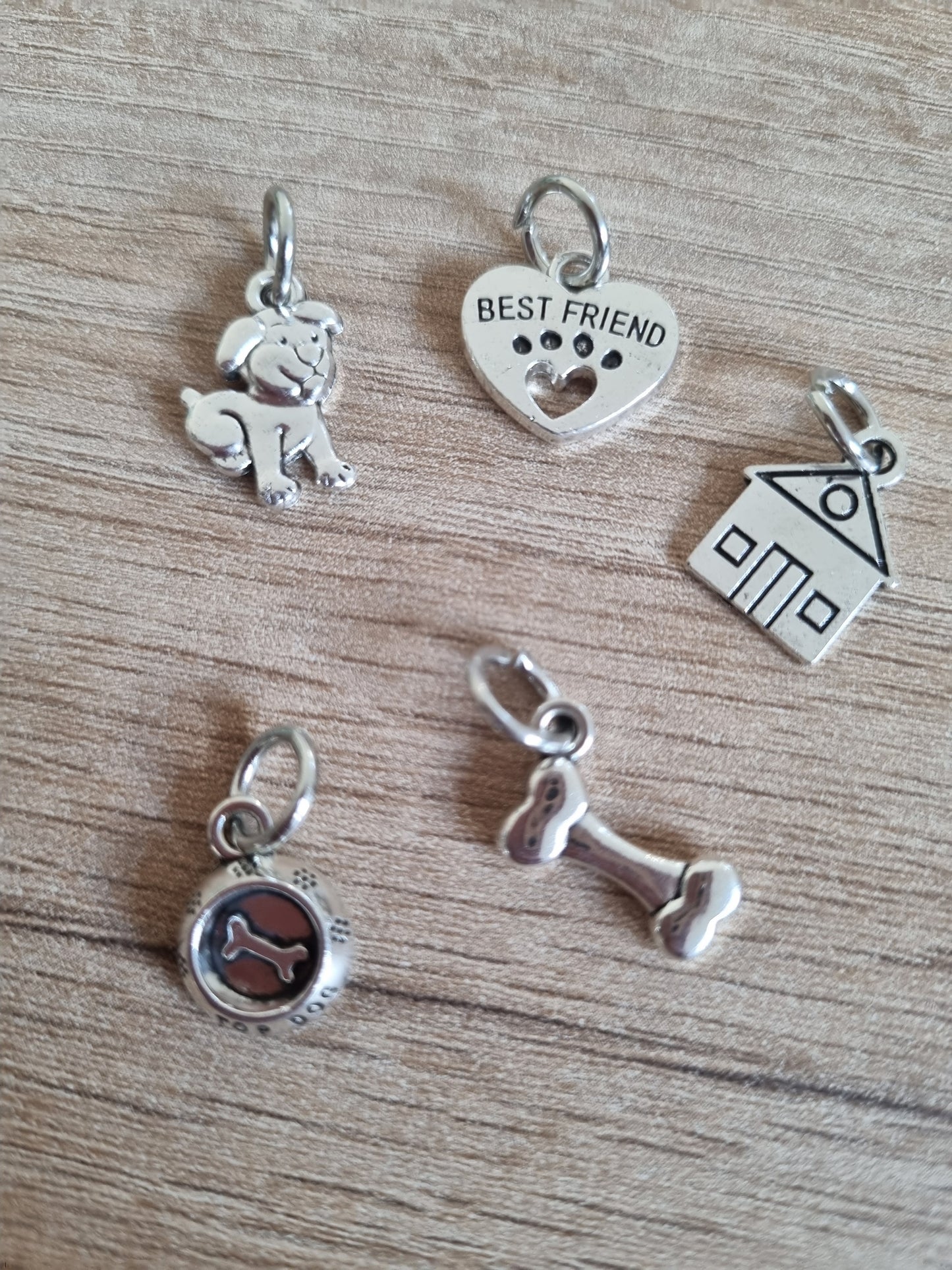 LOT Anneaux marqueurs *Chien*