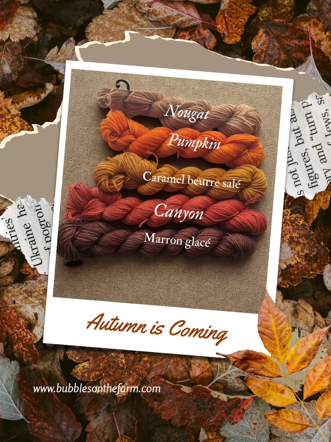 Symphonie d'automne - Kit n°2