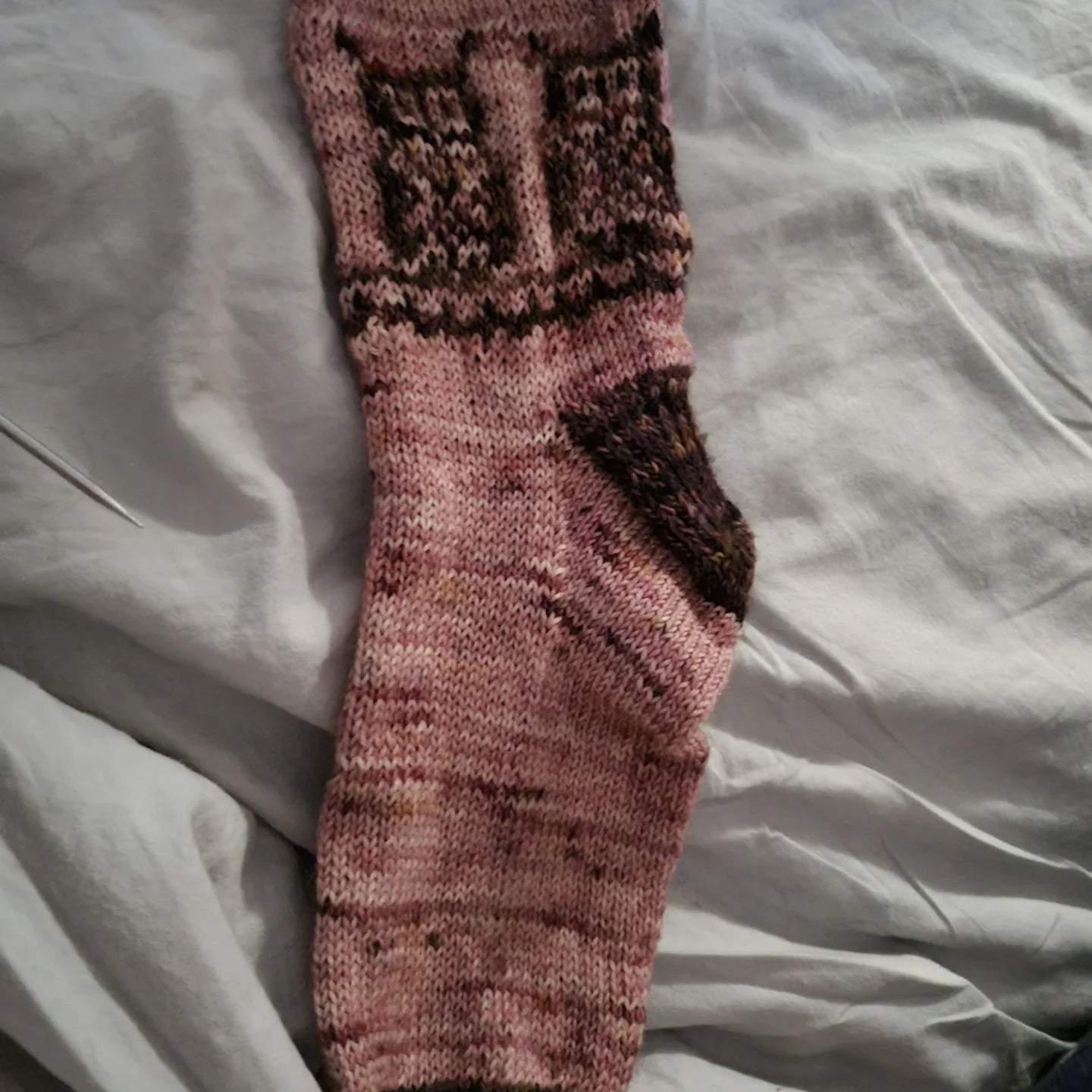 C' Chouette Sock