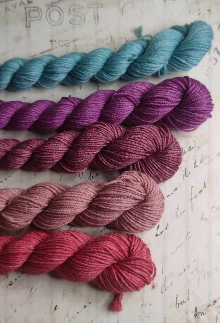 Symphonie d'automne 🍂 - Rose de Bruyère 🌸