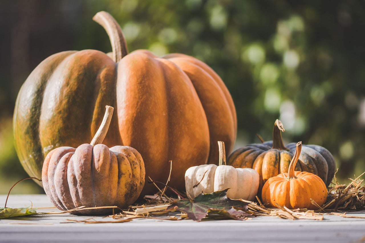 Combo Châle Autumn