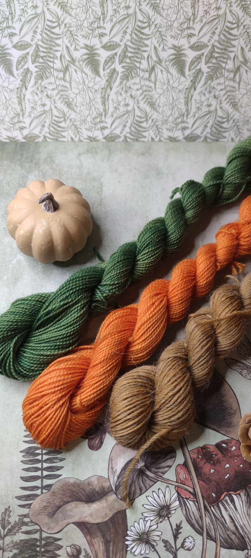 Combo Châle Autumn
