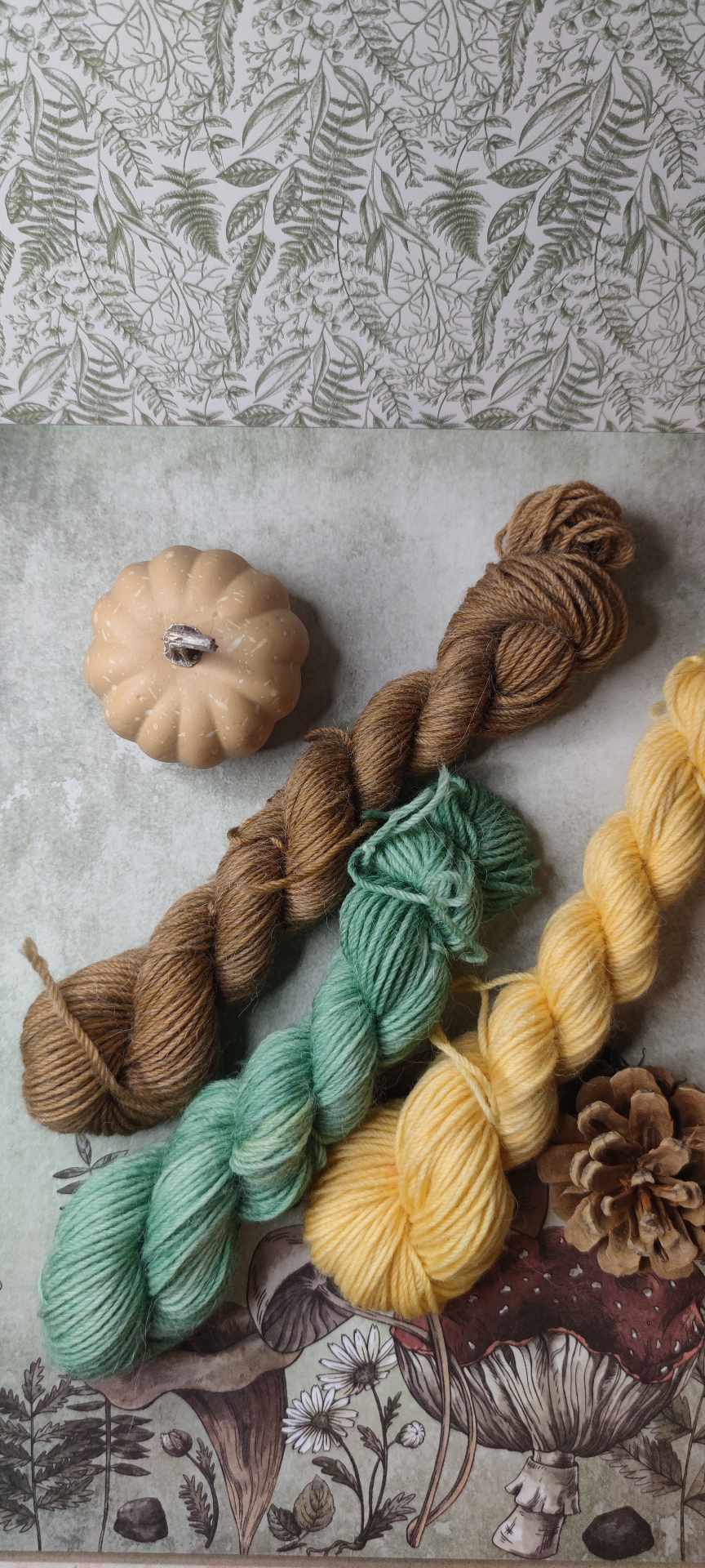 Combo Châle Autumn