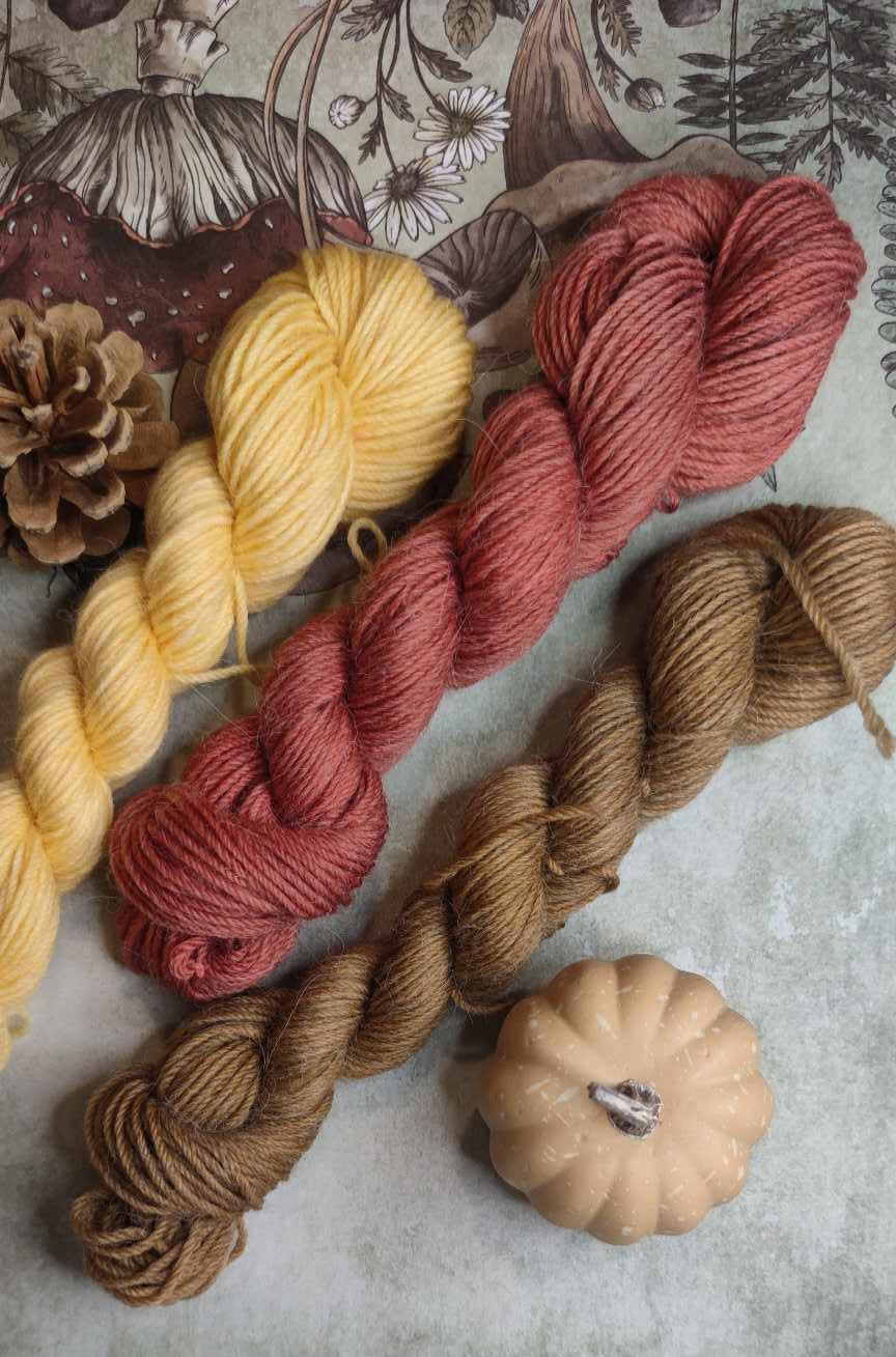Combo Châle Autumn