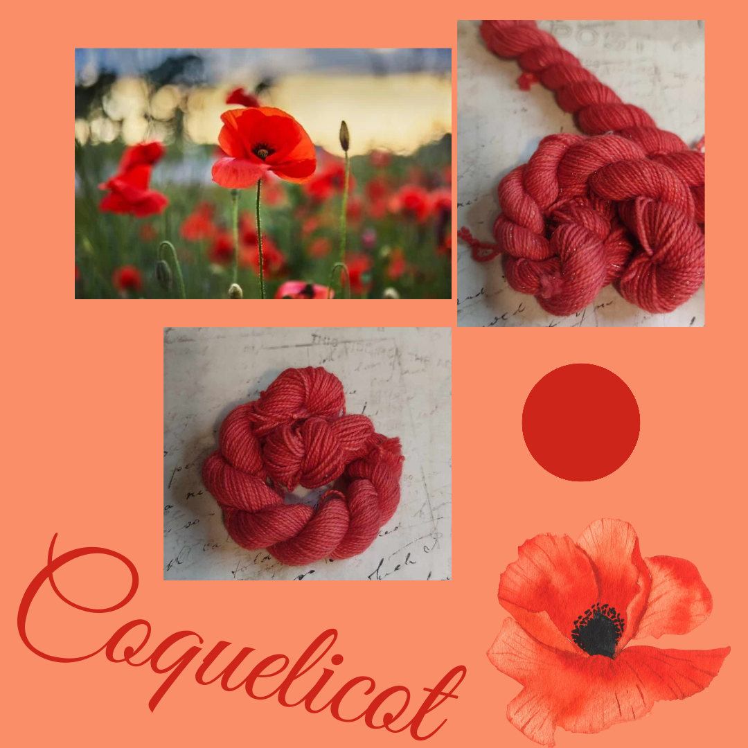 Collection Printemps - Coquelicot - Colors