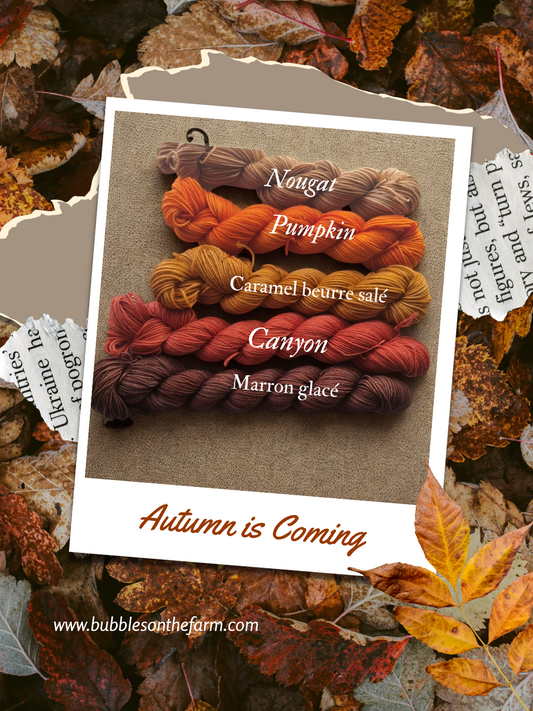 Symphonie d'automne - Kit n°2