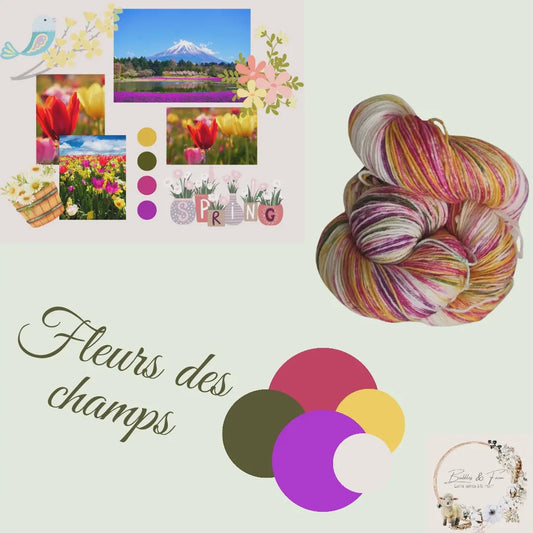 Colors - Fleurs des champs