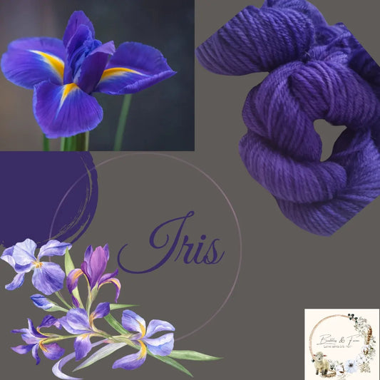 Colors - Iris