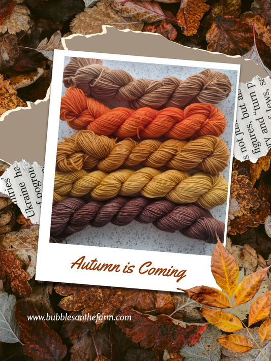 Symphonie d'automne - Kit n°3