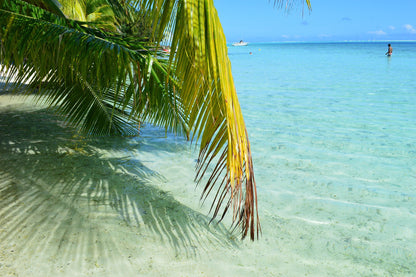 ☀️ Collection Reflets d'été 🌊 - Bora Bora 🌴