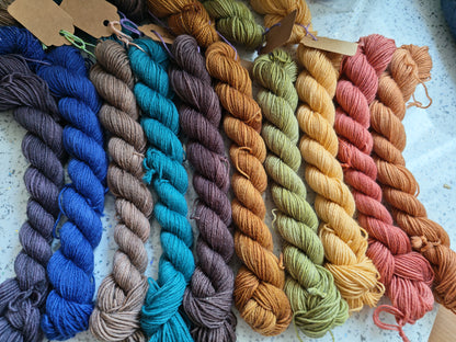 10 Minis de 20gr - Autonome/hiver