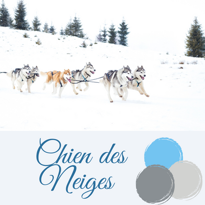 Colors - Chiens des neiges