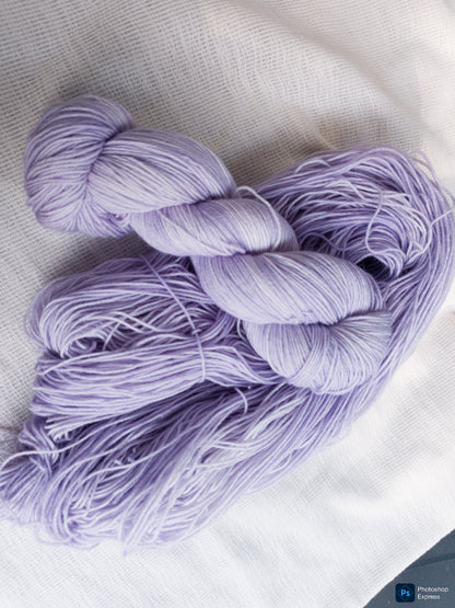 Éclats de Verger 🌸 - Glycine🌸