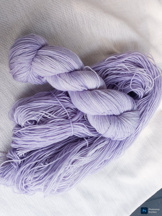 Éclats de Verger 🌸 - Glycine🌸