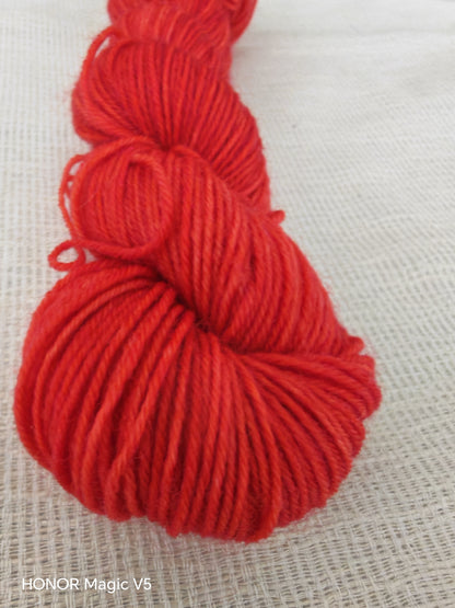 Éclats de Verger 🌸 - Coquelicot ❤️