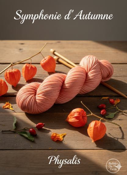 Symphonie d'automne 🍂 - Physalis 🏮