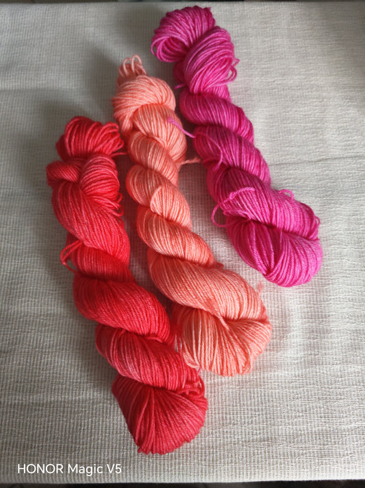 PRÉCOMMANDE : Écheveau Autorayant "Trio du Verger" 🍉🍓 - 100% Main