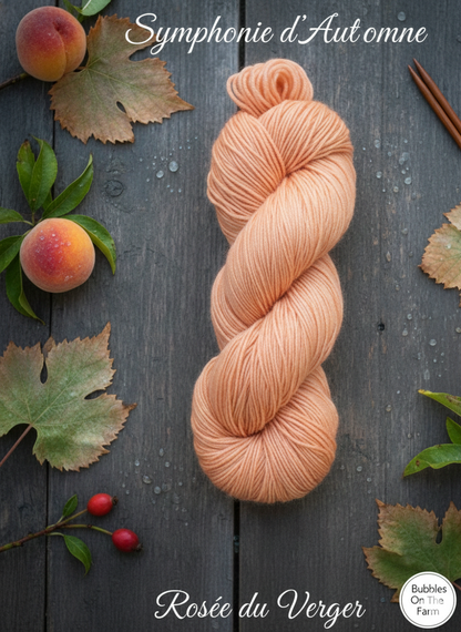 Symphonie d'automne 🍂 - Rosée du Verger  🍑