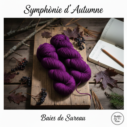 Symphonie d'automne 🍂 - Baies de Sureau 🫐
