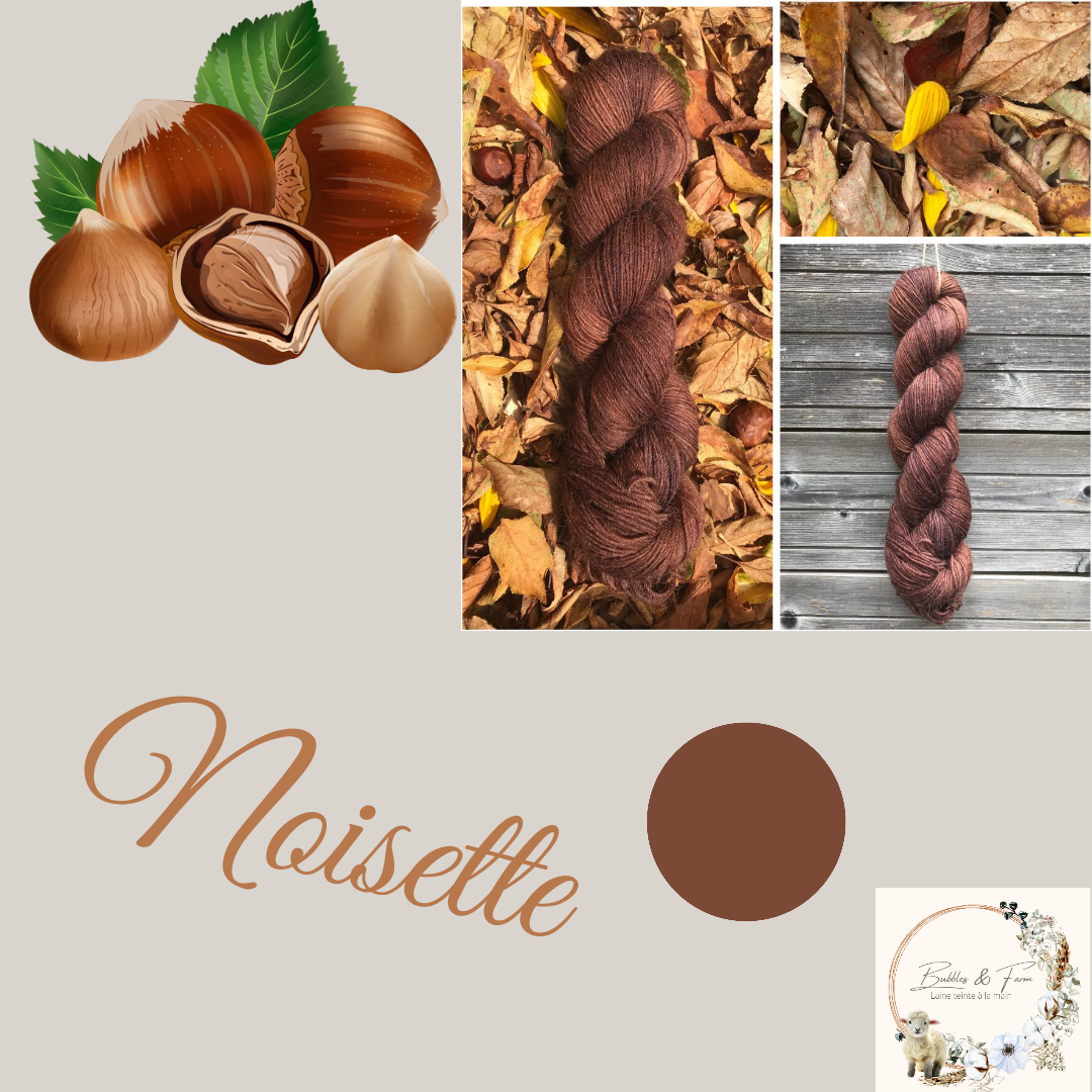 Collection Autumn - Noisette